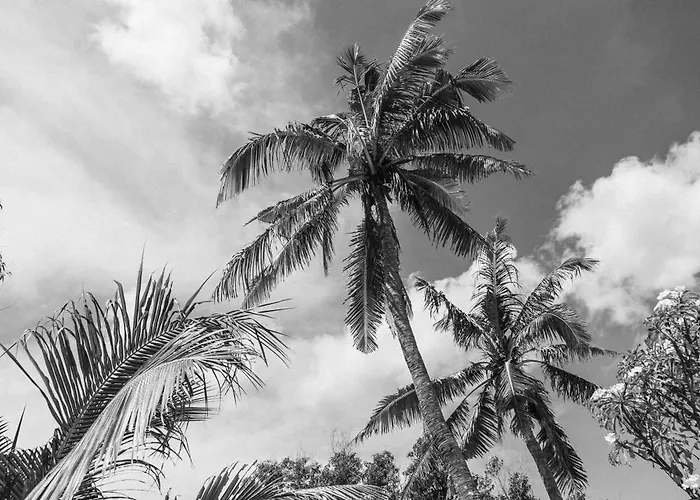 Hotel The Raja Lima Polilit